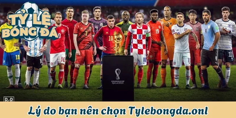Lý do bạn nên chọn Tylebongda.onl